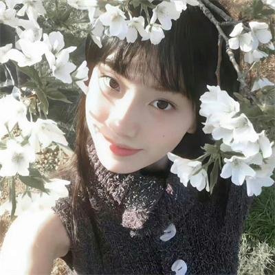 以规则之名